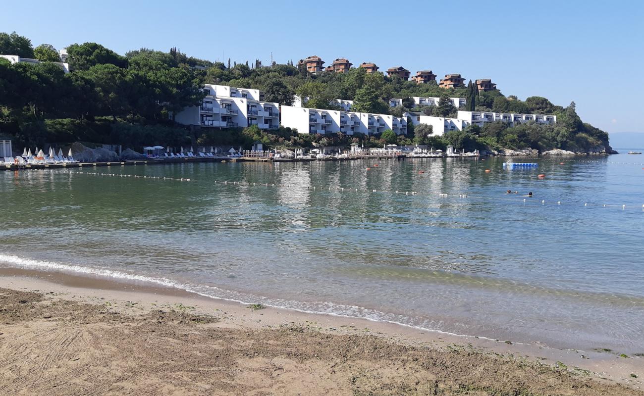 Foto af Darica beach IV med brunt sand overflade