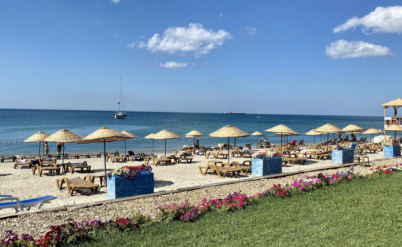 Foto af West Istanbul Marina med sort sand og småsten overflade