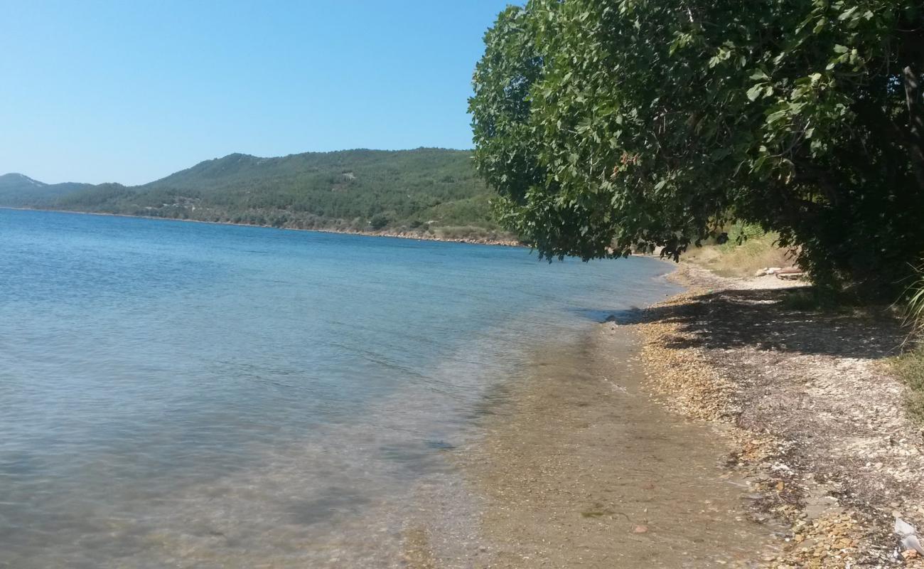 Foto af Pazarli beach med sort sand og småsten overflade