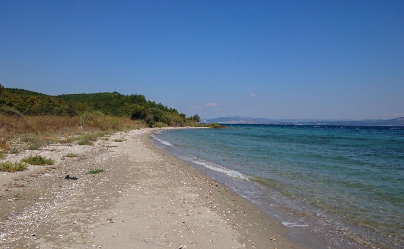 Foto af Alcitepe beach med sort sand og småsten overflade