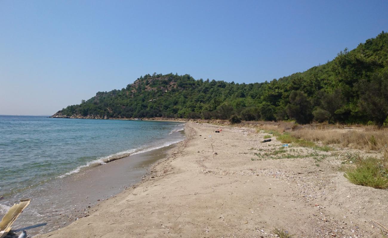 Foto af Alcitepe beach II med brunt sand overflade