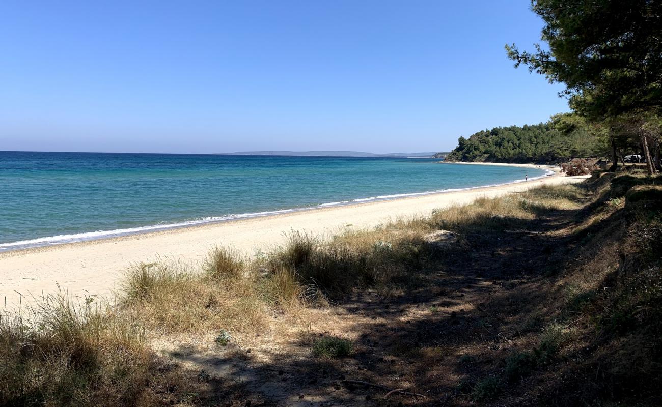 Foto af Cennet Koyu med lys sand overflade