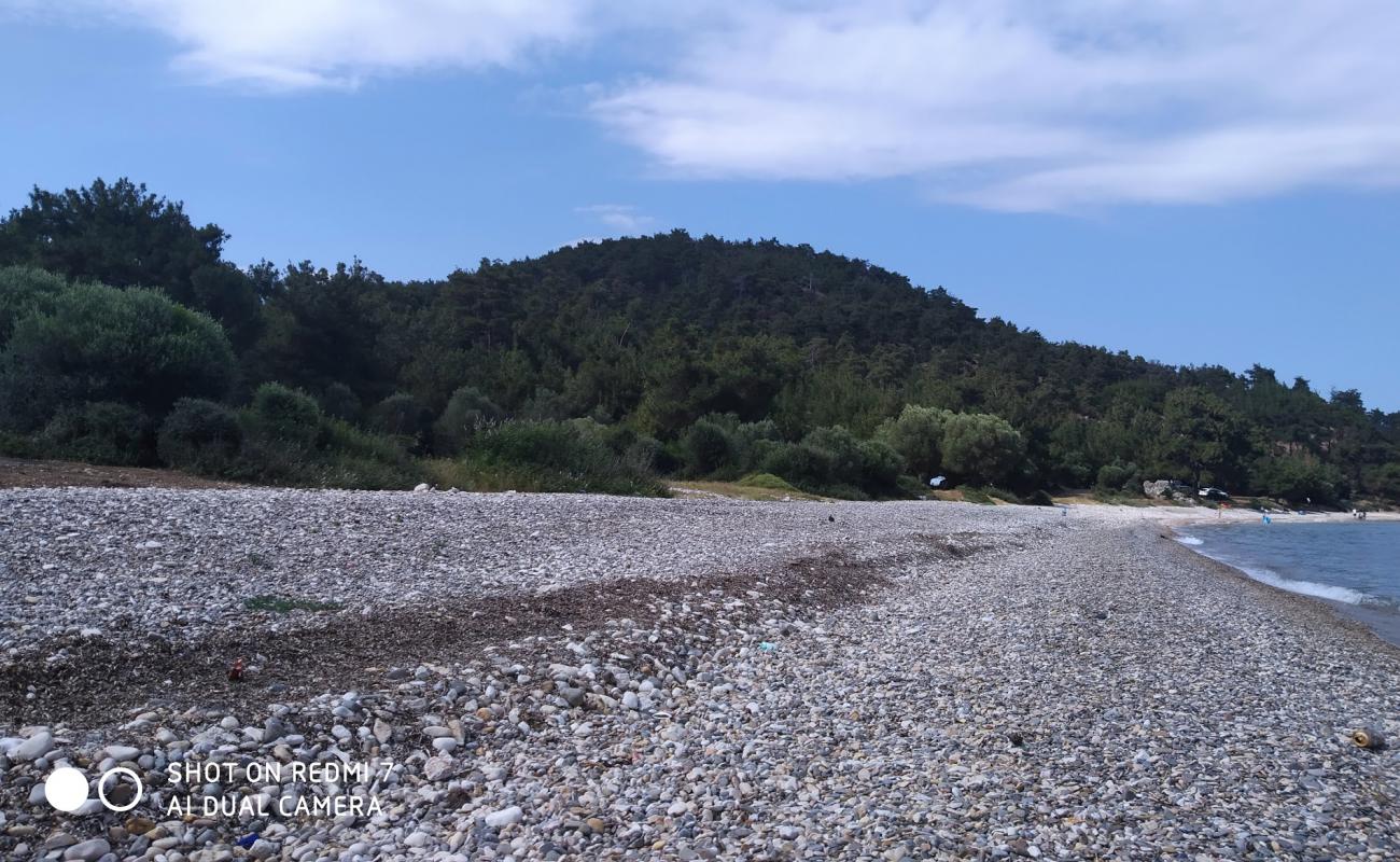 Foto af Sait faik beach II med let sten overflade