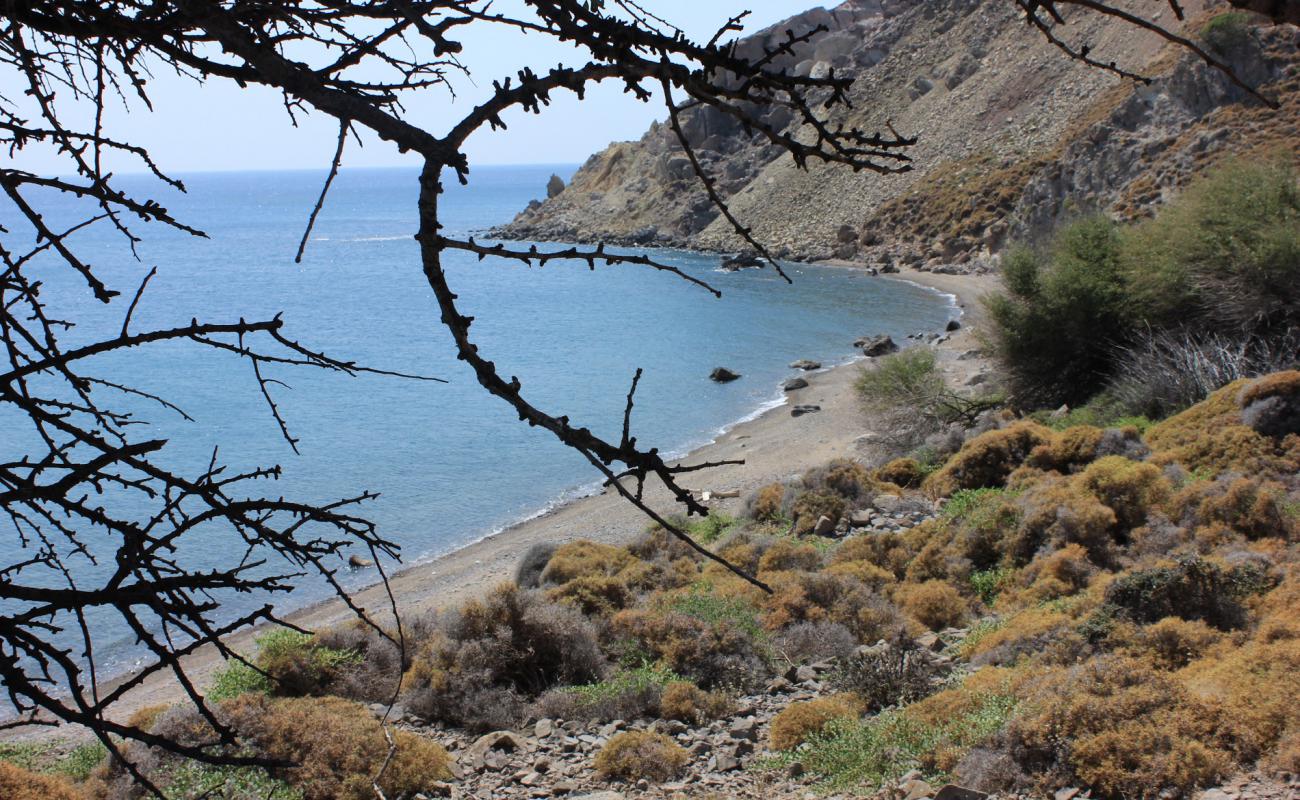 Foto af Zeytinlikoy wild med grå sten overflade