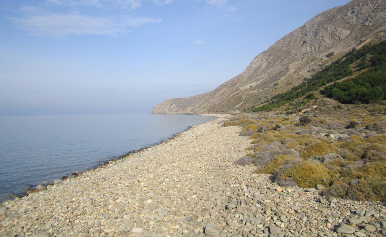 Foto af Derekoy wild med sten overflade