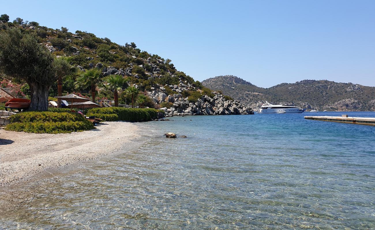 Foto af Kuzbuku beach med let fin sten overflade