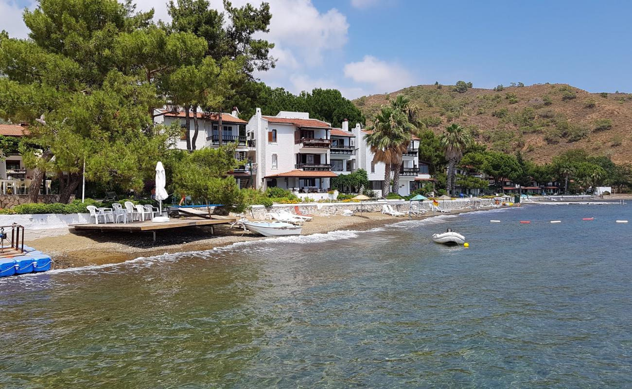 Foto af Aktur beach IV med gråt sand og småsten overflade