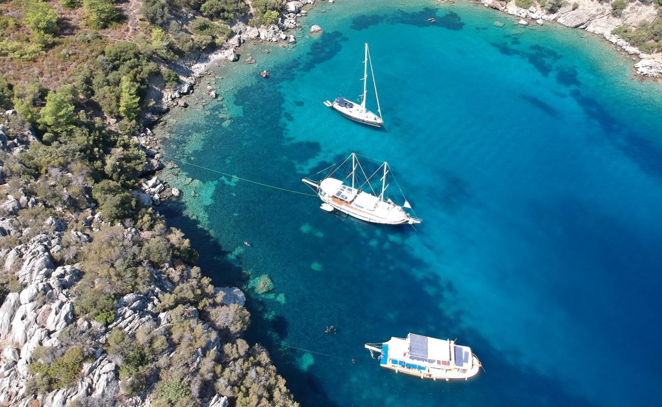 Foto af Akvaryum beach med sten overflade