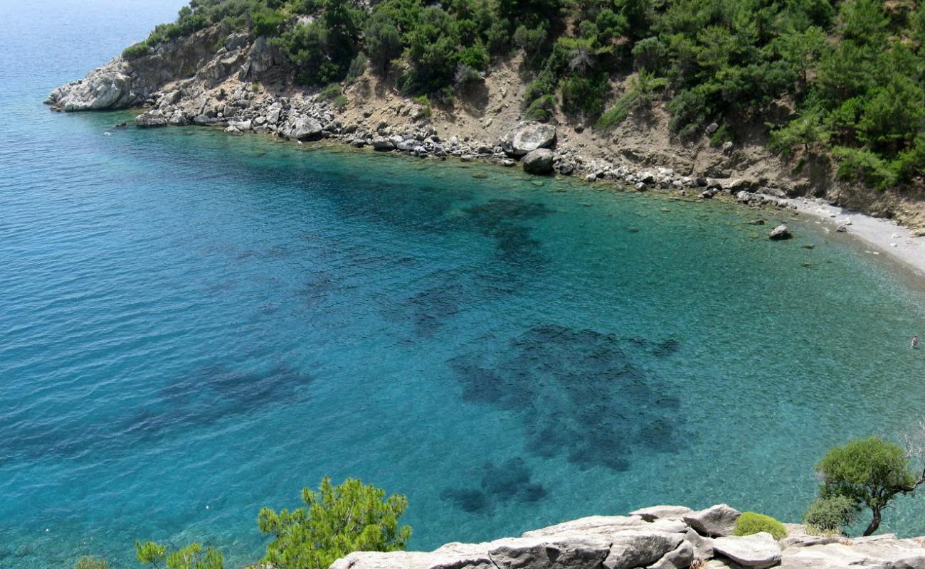 Foto af Akvaryum beach II med grå sten overflade