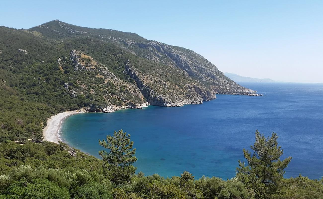 Foto af Pigbok beach med gråt sand og småsten overflade