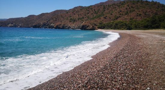 Pink Pebble Dark beach