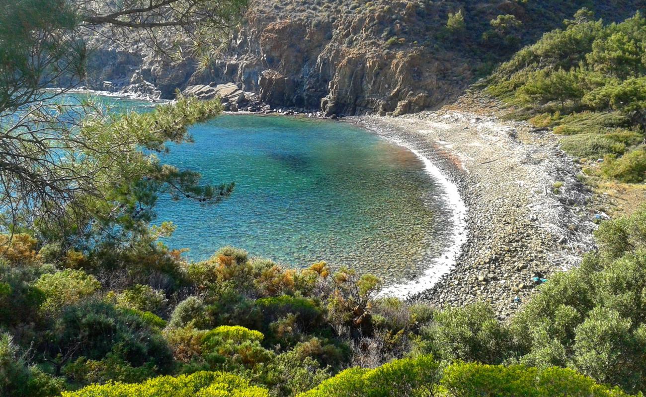 Foto af Mesudiye beach med sten overflade