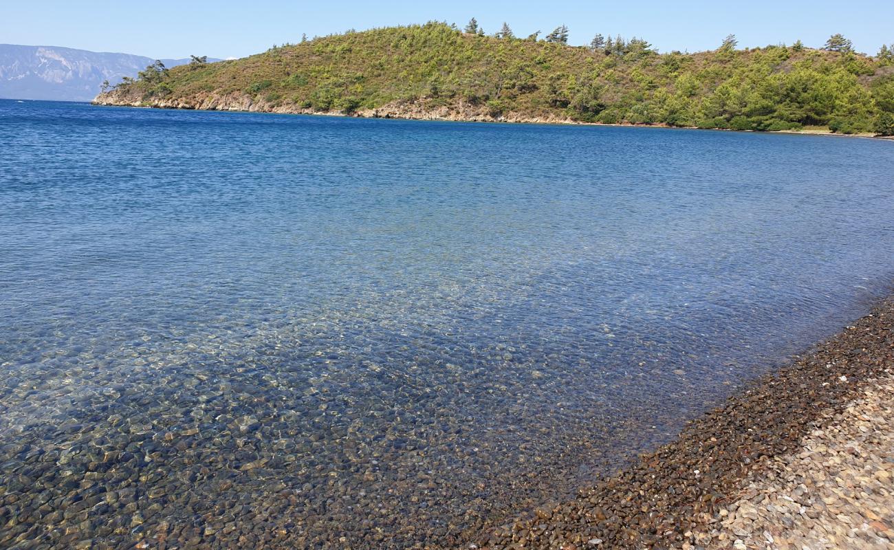 Foto af Cacate Bay beach med grå sten overflade