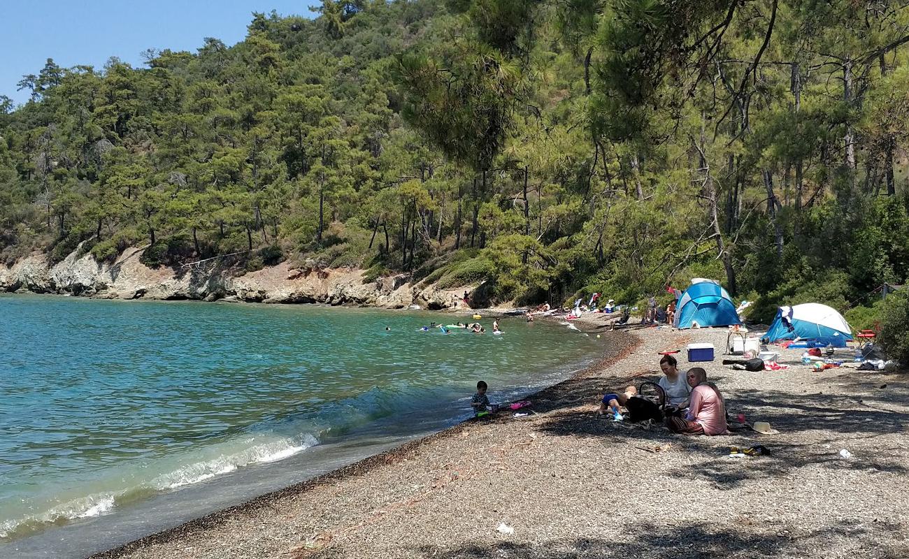 Foto af Karaca beach med grå sten overflade