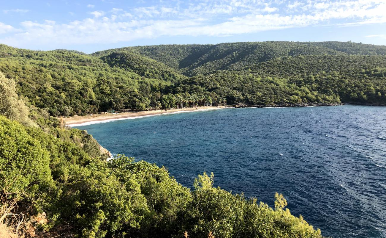 Foto af Bonjuk Bay beach med sort sand og småsten overflade