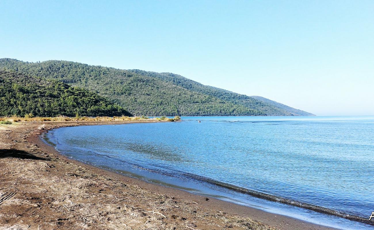 Foto af Gokce beach med brunt sand overflade