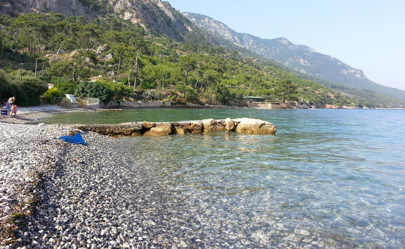 Foto af Chardak beach med grå sten overflade