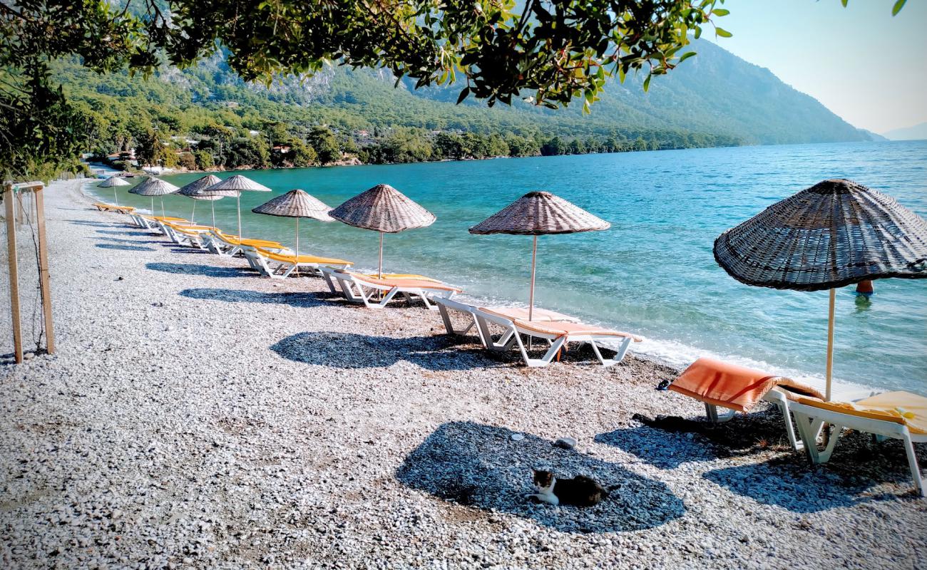 Foto af Akbuk Bay II Strand med let sten overflade