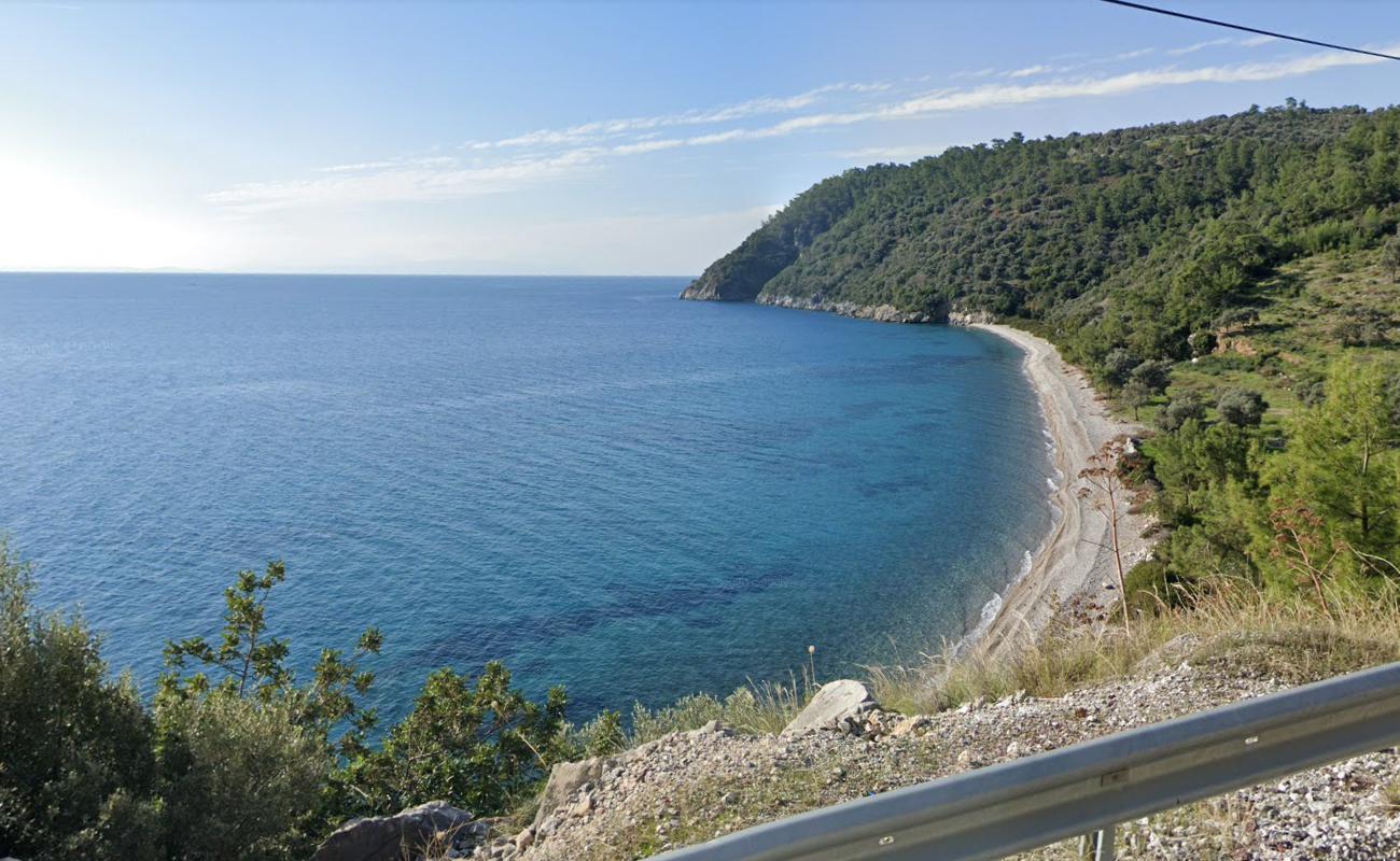 Foto af Kumcaz beach II med rummelig bugt