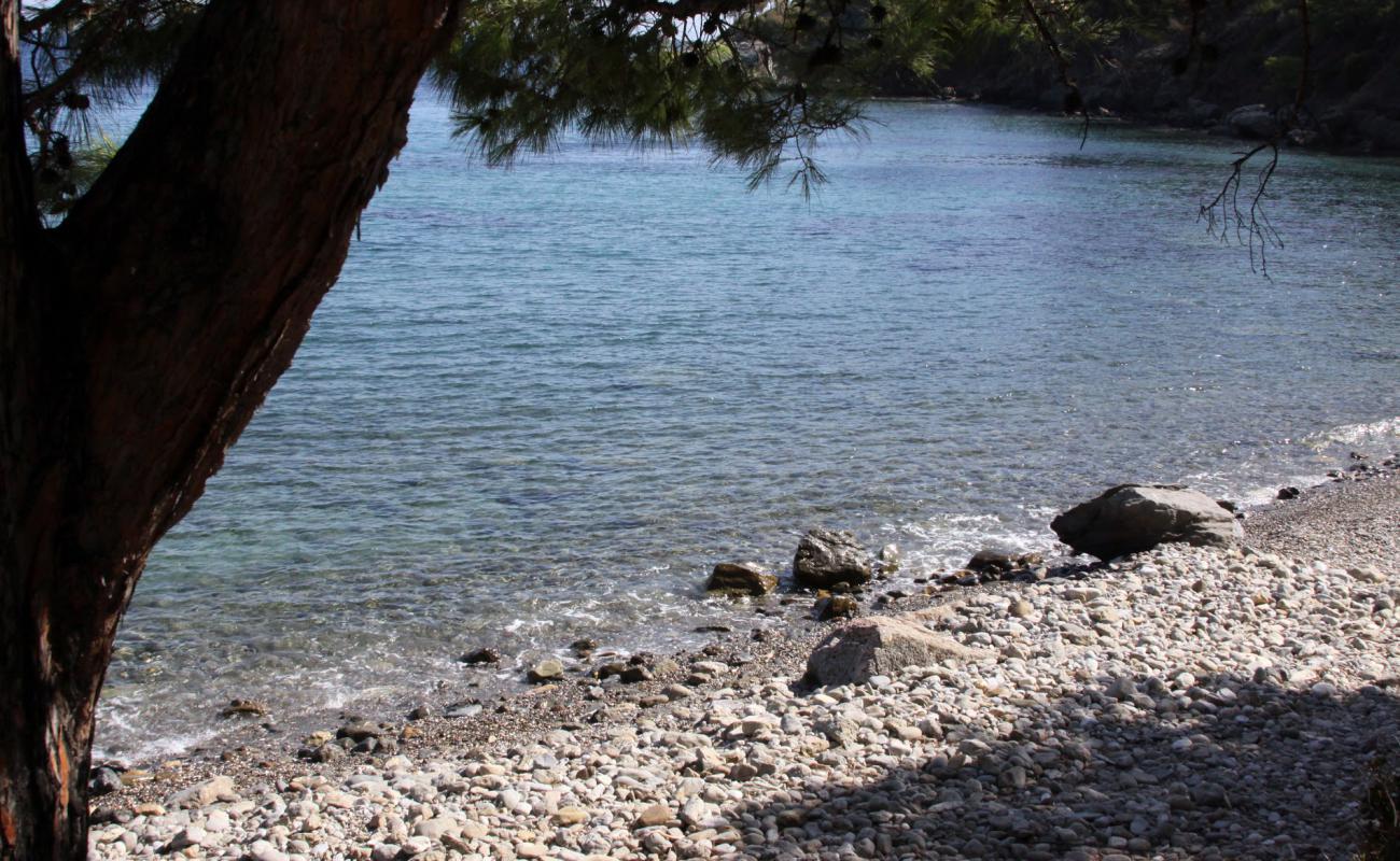 Foto af Mazikoy beach II med let sten overflade