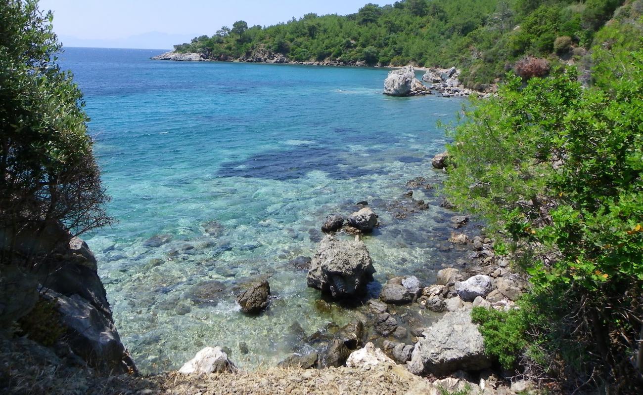 Foto af Ilgin beach V med let sten overflade