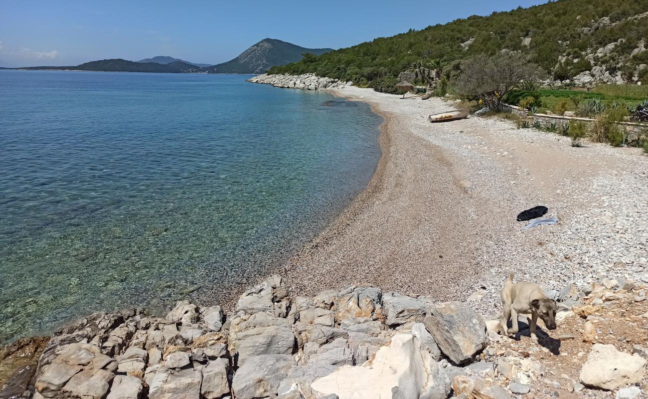 Foto af Dangir Bay med let sten overflade