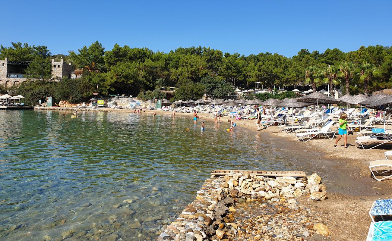 Foto af Bodrum Resort Strand med brun fin sten overflade