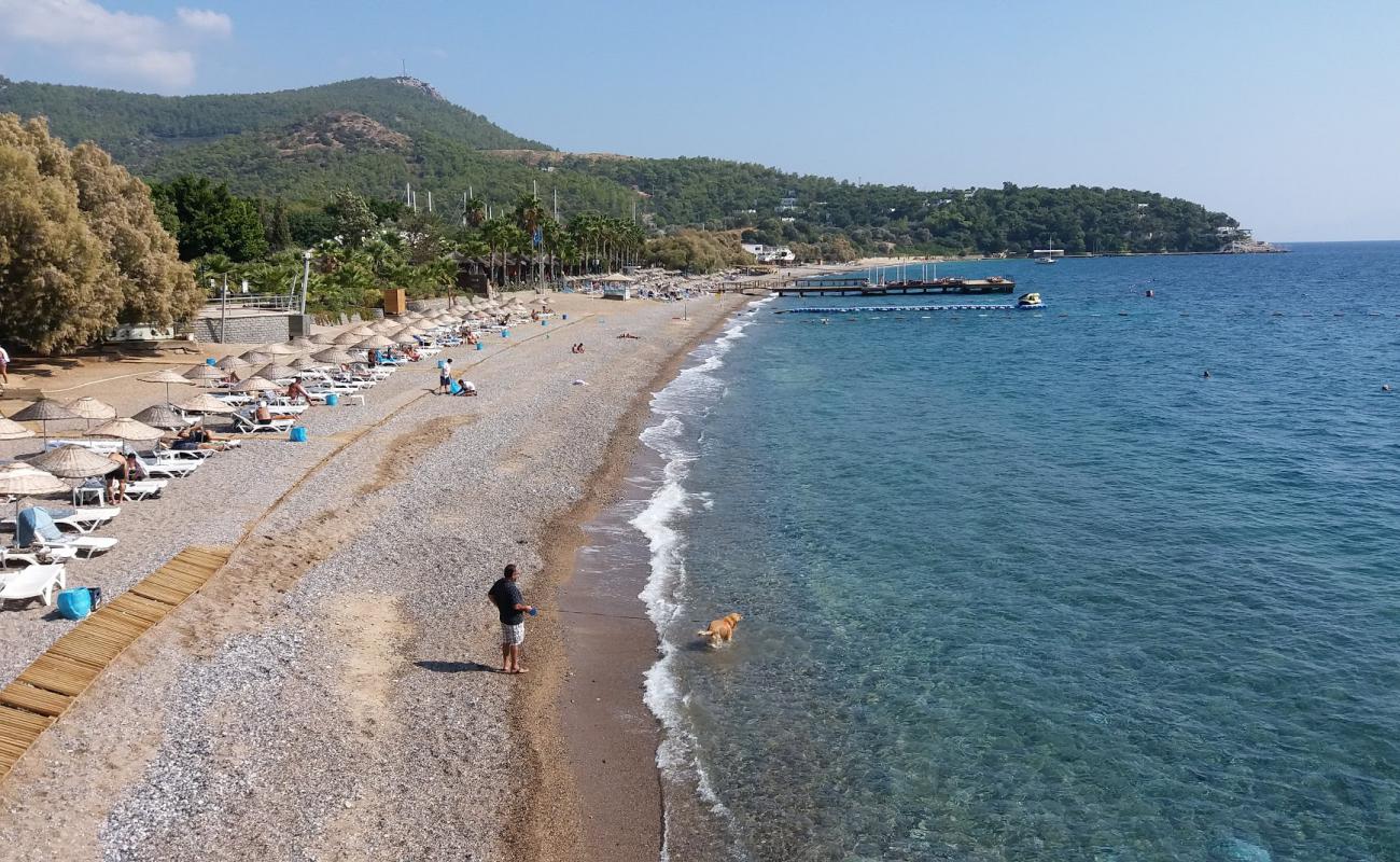 Foto af YaliCiftlik beach IV med let fin sten overflade