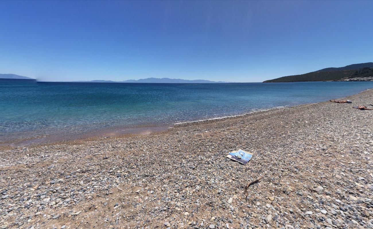 Foto af Yaliciftlik beach med høj niveau af renlighed