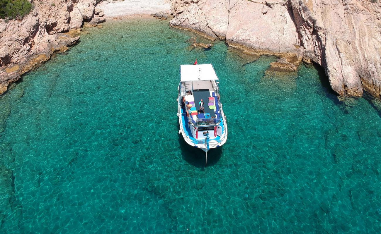 Foto af Pacoz Dive Site med let sten overflade