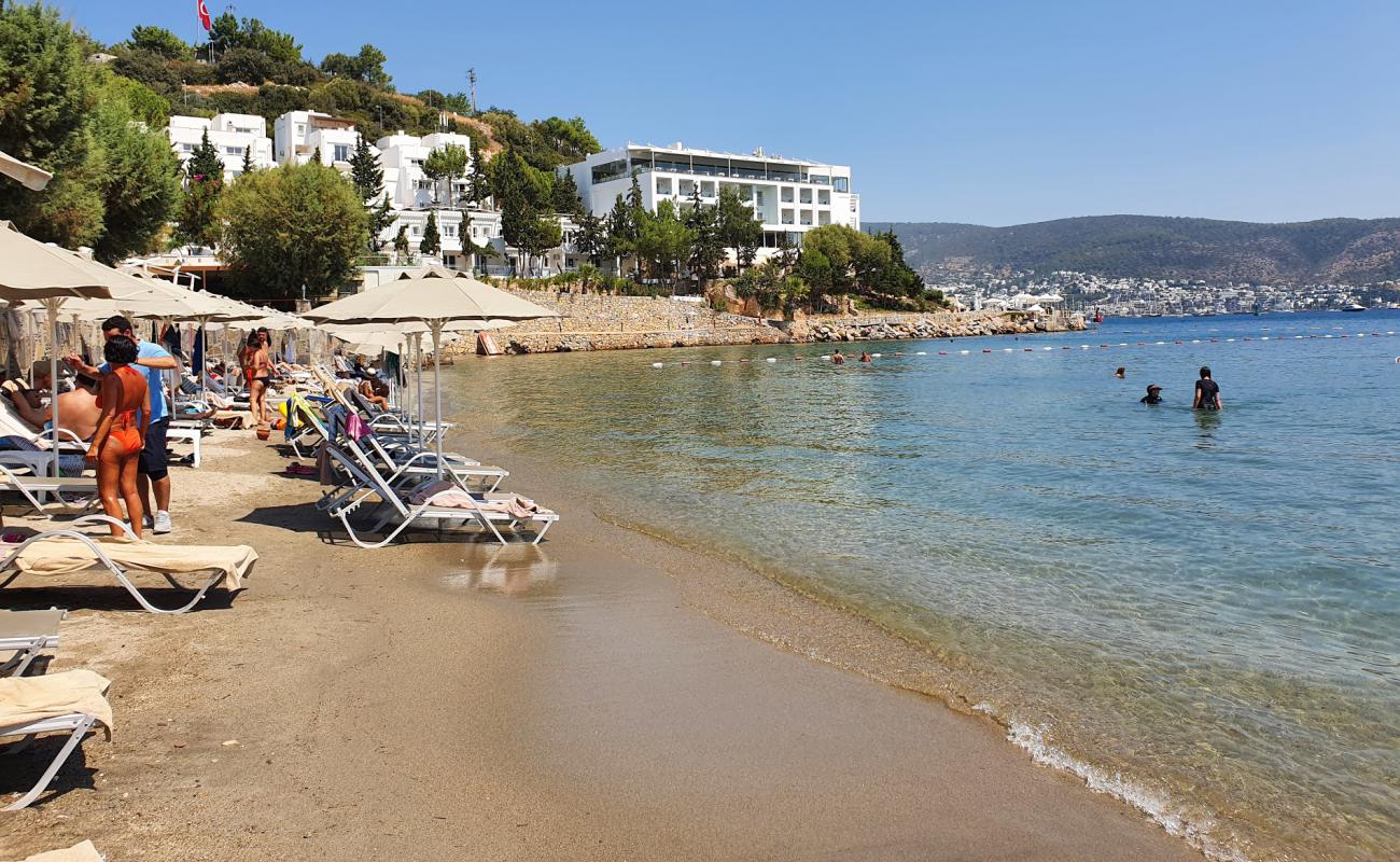 Foto af Bardakci Cove med lys fint sand overflade