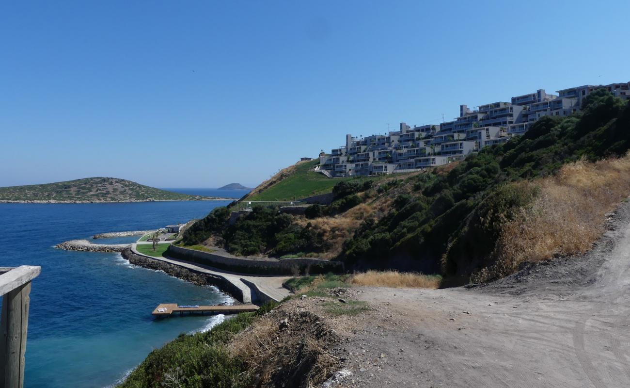 Foto af Vega beach med betonovertræk overflade