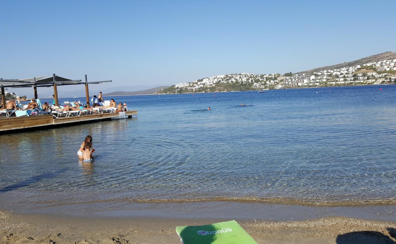 Foto af Seba Farilya Beach med grå sand overflade