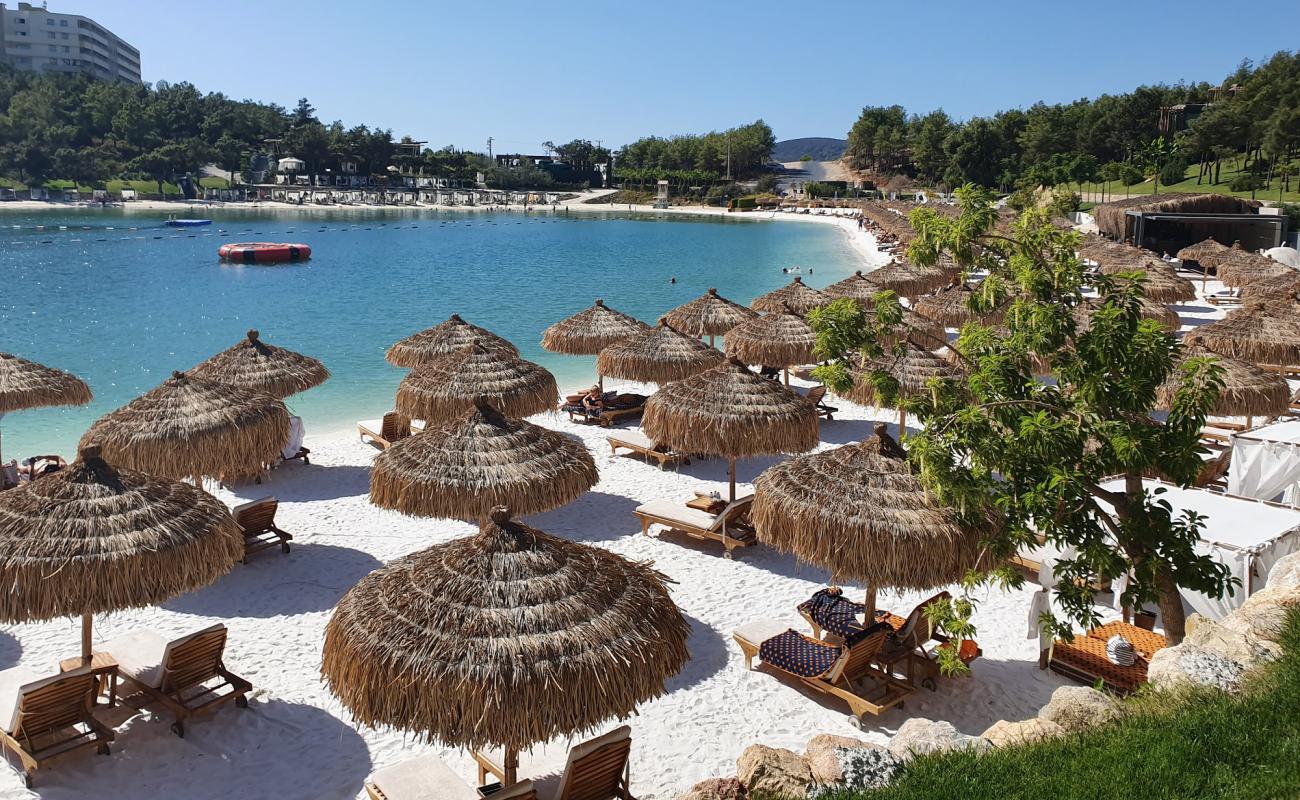 Foto af Lujo Bodrum Strand med lys fint sand overflade