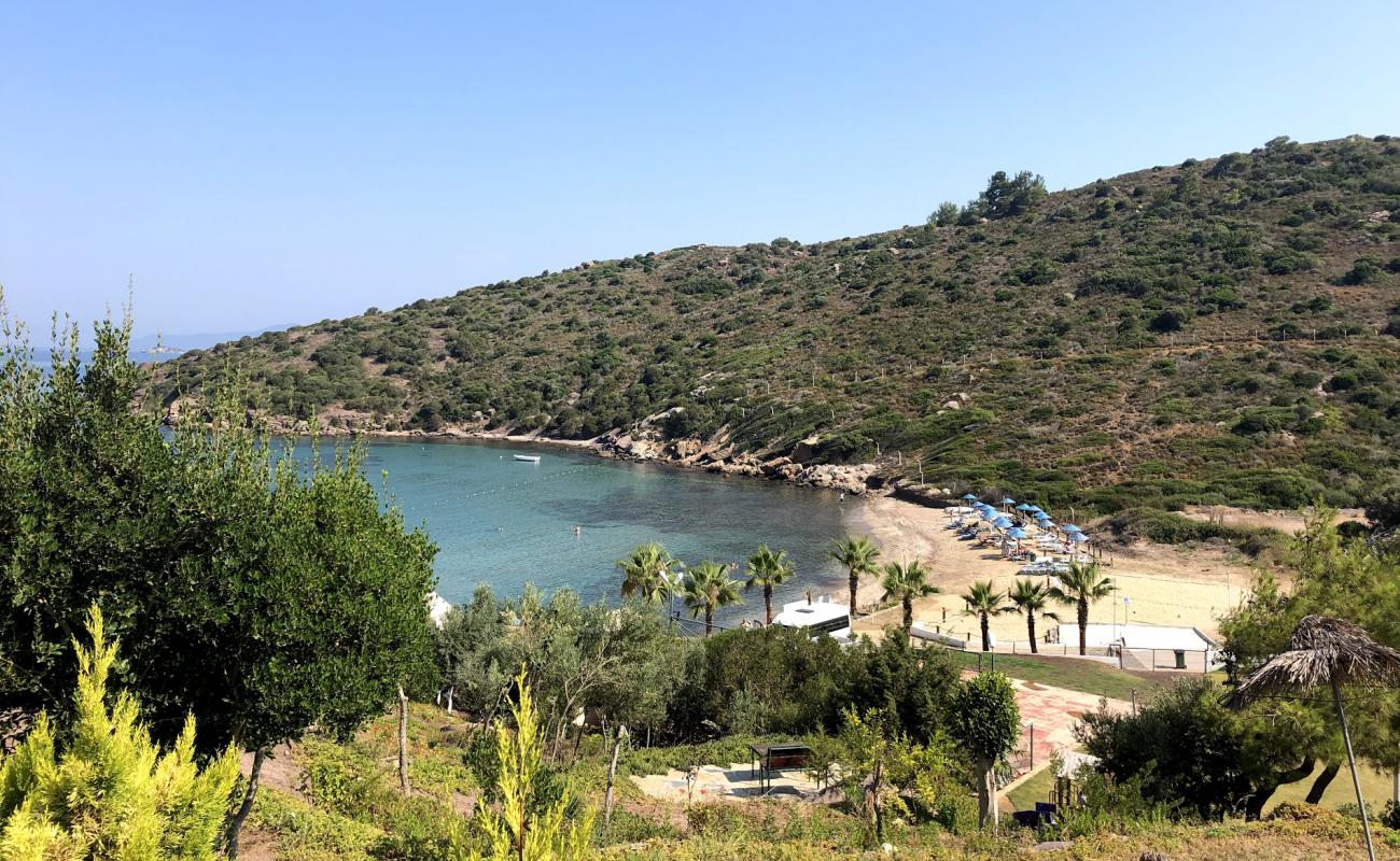 Foto af Regnum-Samtepe Beach med lys sand overflade