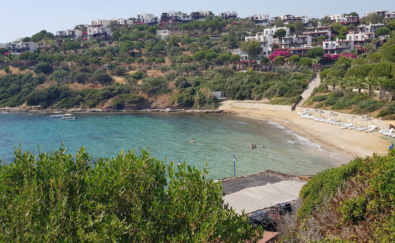 Foto af Feza Beach med lys sand overflade