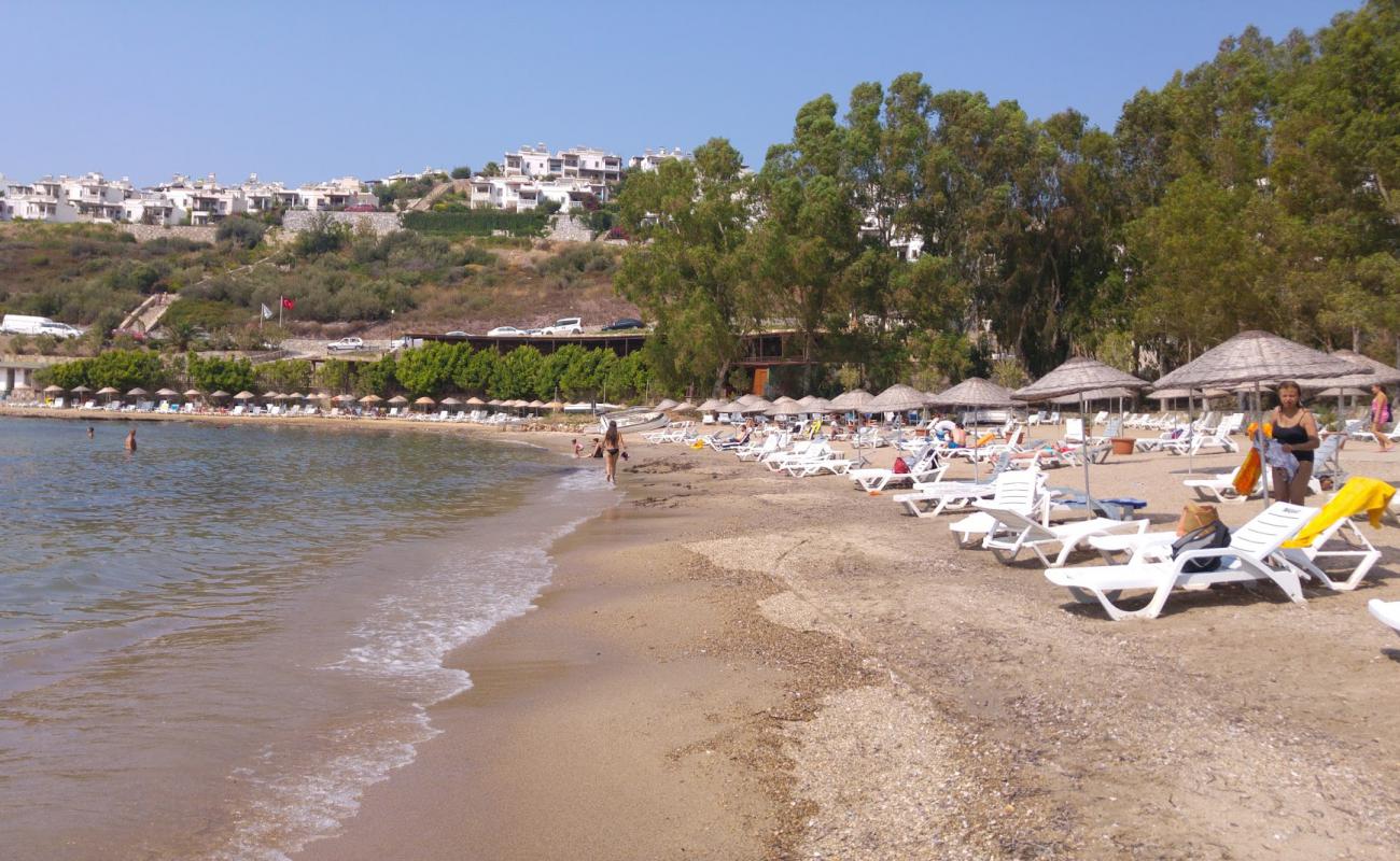 Foto af Basko Beach med lys sand overflade