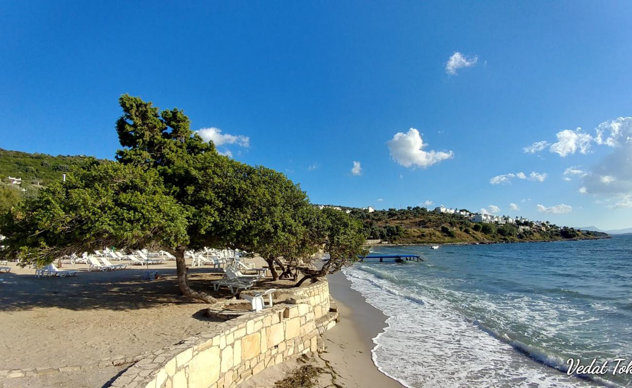 Foto af Urga Beach II med lille bugt