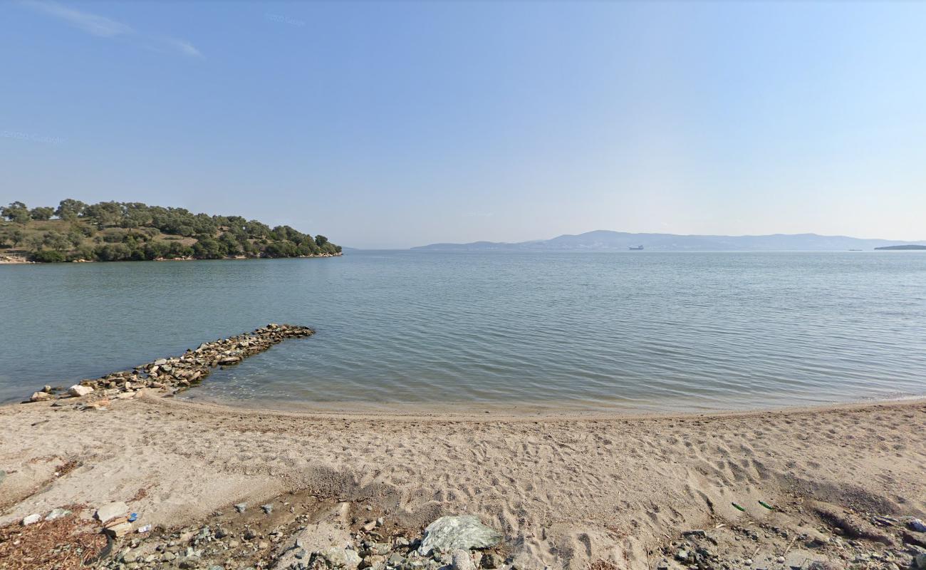 Foto af Ceyar Beach med turkis rent vand overflade