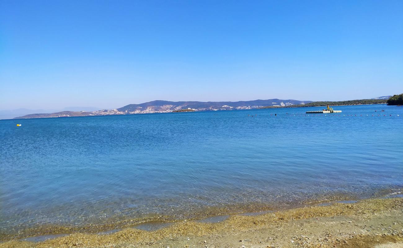 Foto af Iassos beach med lyst sand & sten overflade