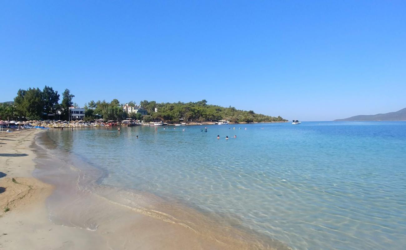 Foto af Zeytinli Beach med lys sand overflade