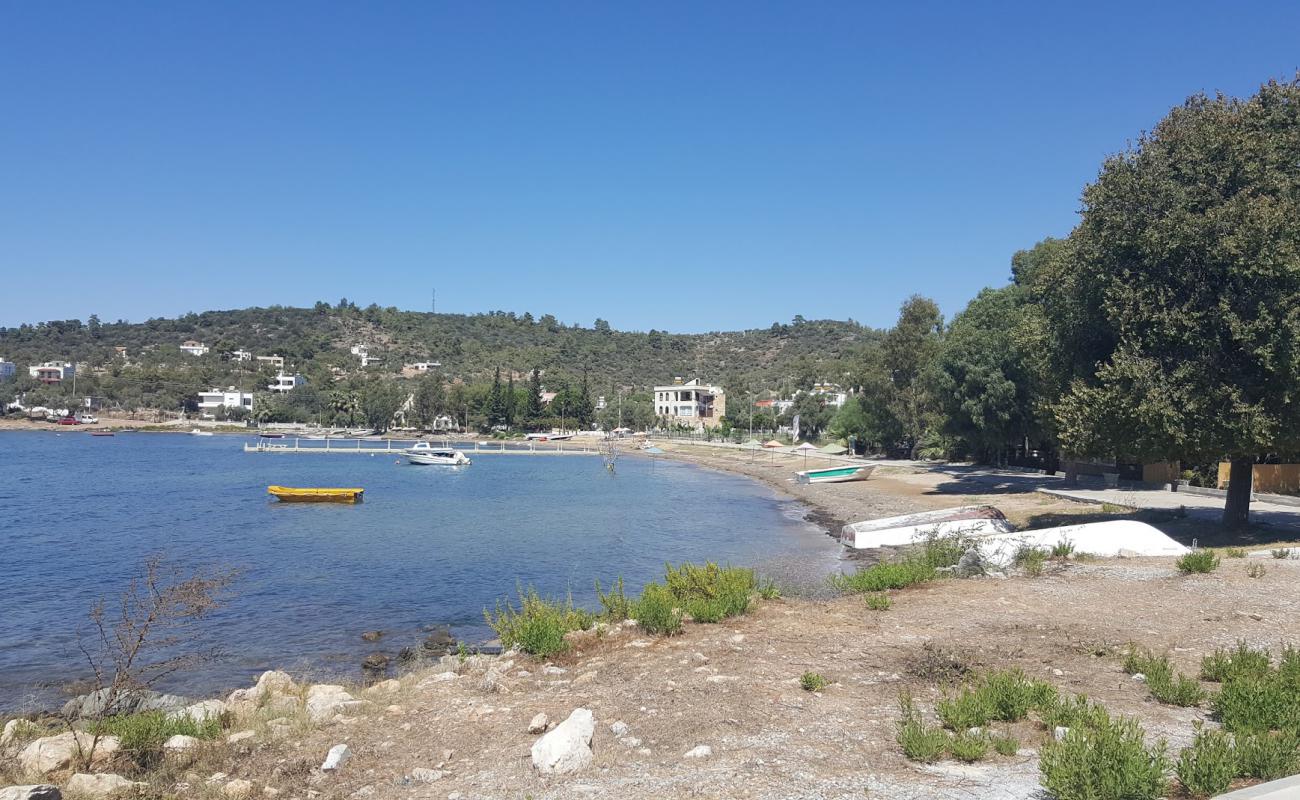 Foto af Zeytinli Beach II med lys sand overflade