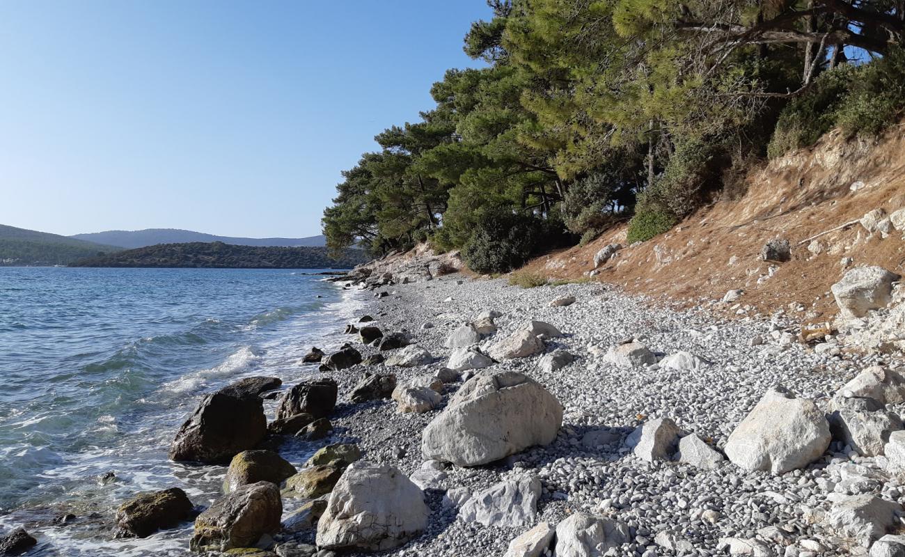 Foto af Gurchamlar beach III med sten overflade