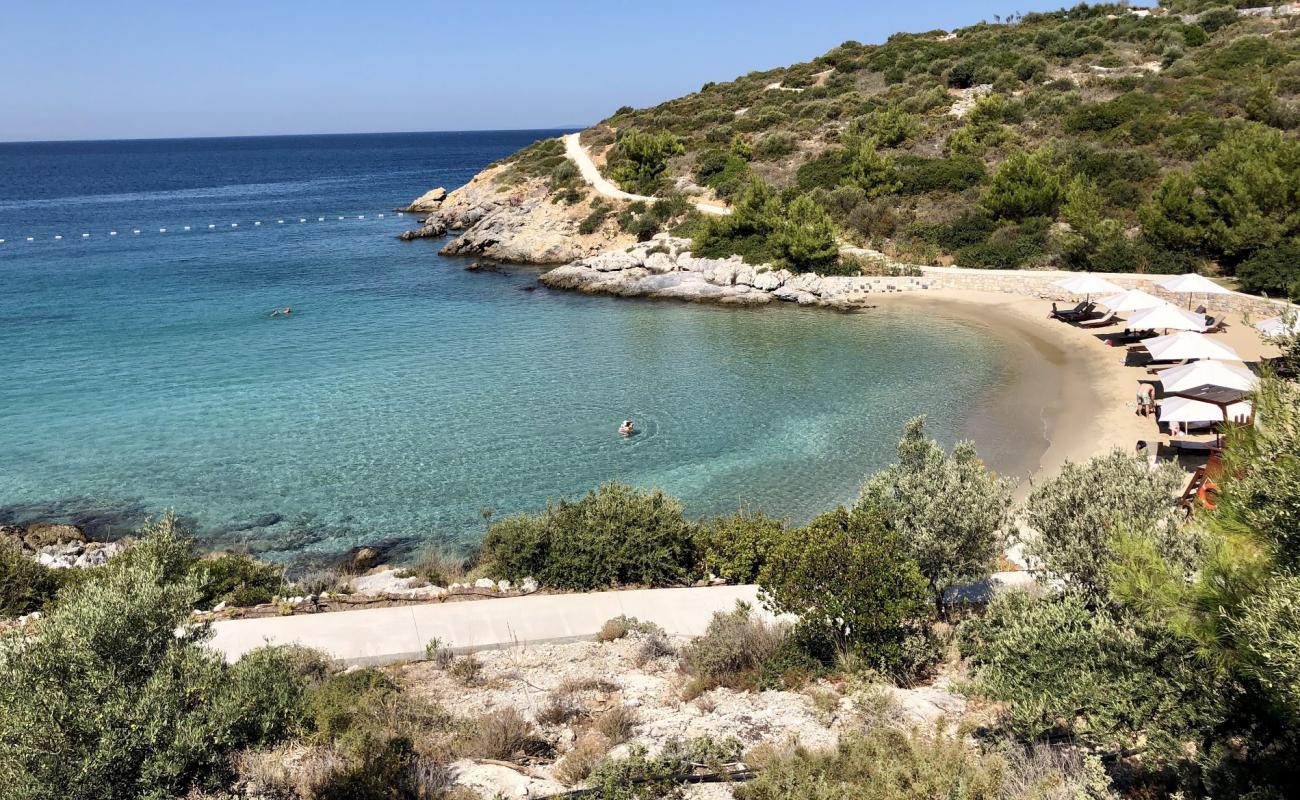 Foto af Seks Sanser Strand III med lys fint sand overflade