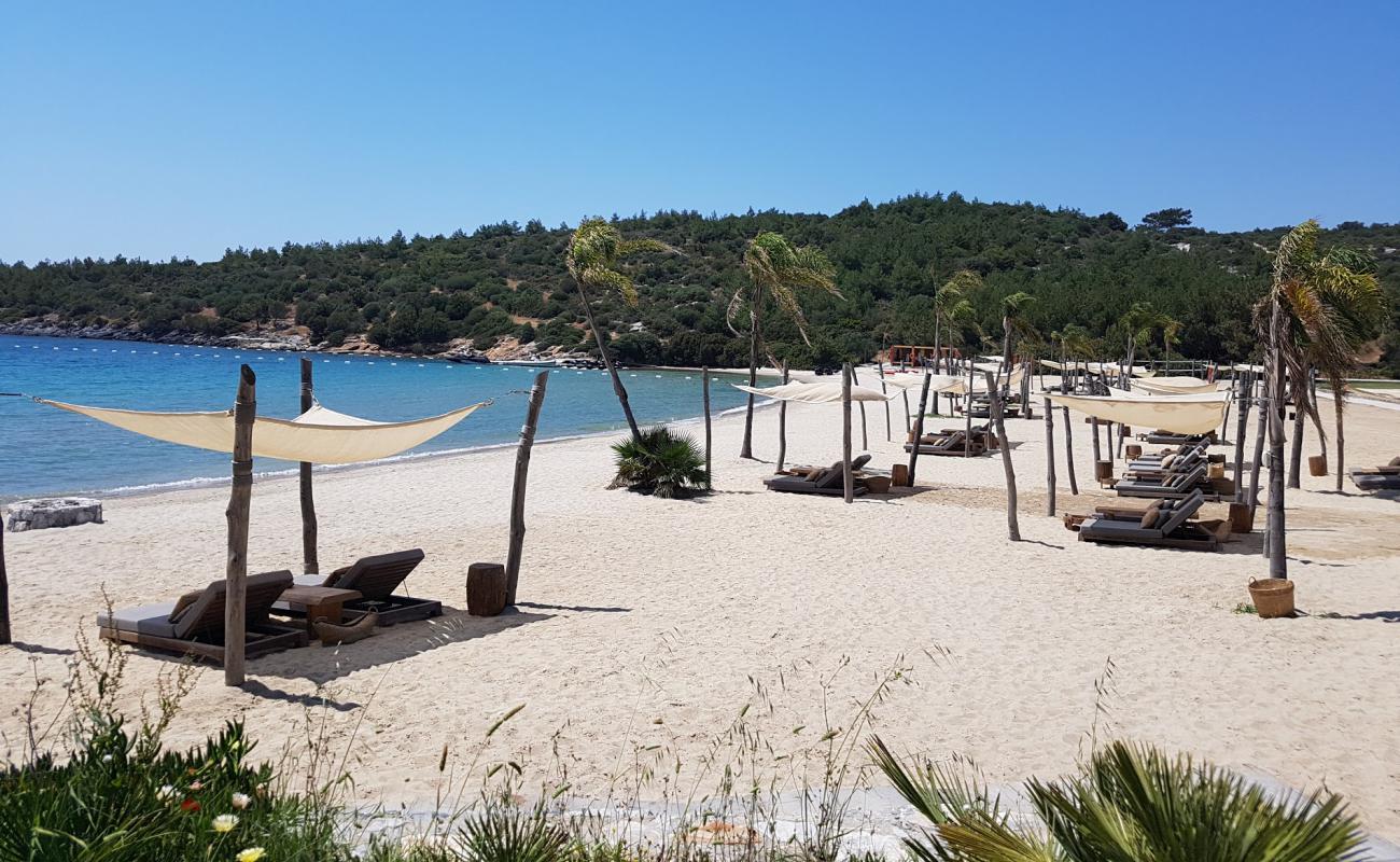 Foto af Anhinga Strand med hvidt fint sand overflade