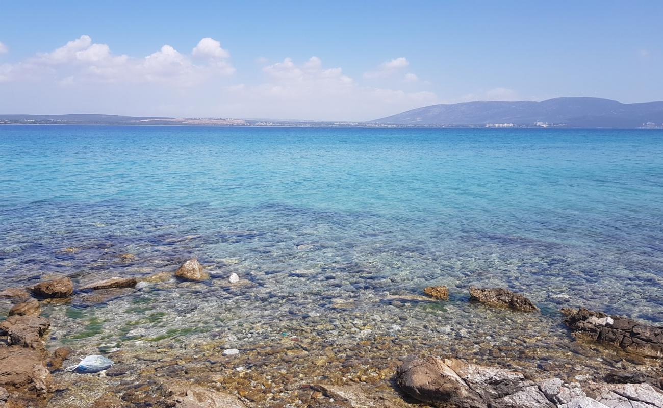 Foto af Empty Beach med sten overflade