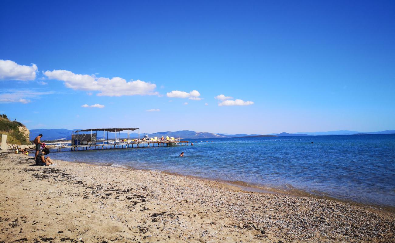 Foto af Didim beach IV med brunt sand overflade