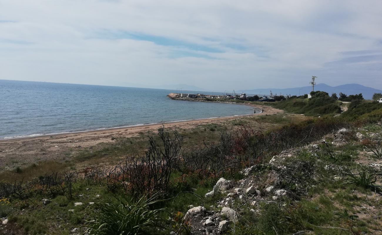 Foto af Gulbahce beach IV med lys sand overflade