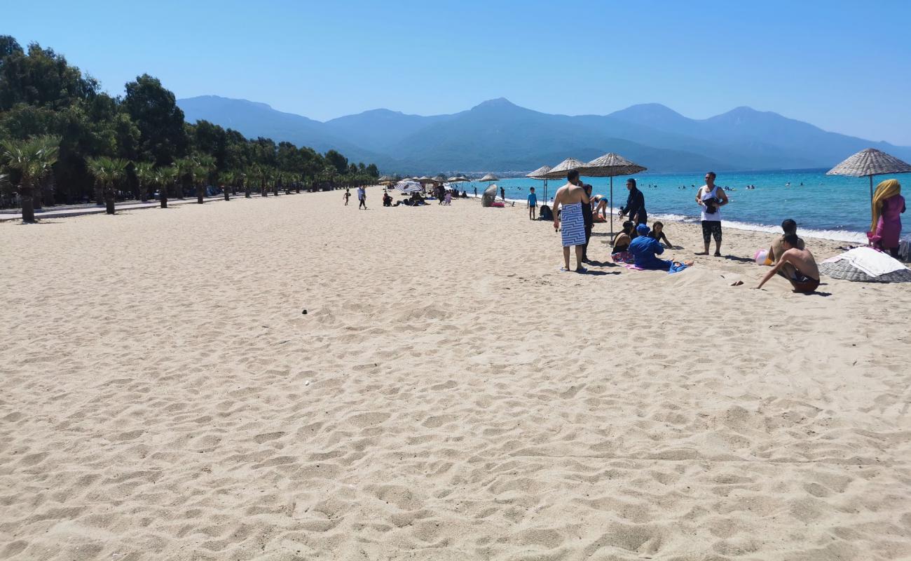 Foto af Kusadasi beach II med lys sand overflade