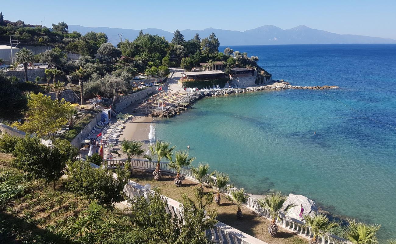 Foto af Grøn Strand med lys fint sand overflade